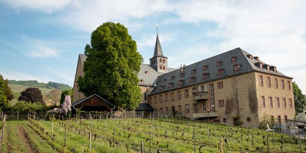 Zusammenarbeit mit dem Bischöflichen Weingut Rüdesheim